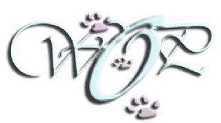 Best Dog Boarding Near Sanford Best Dog Boarding Near Sanford